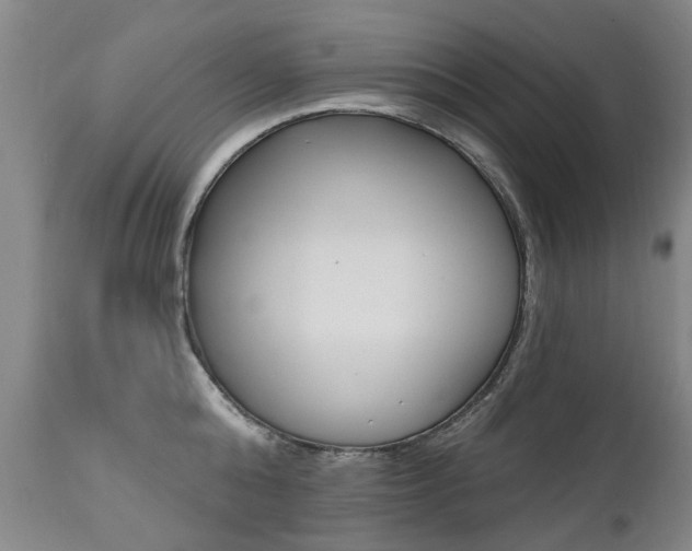 X0000112520808200908171110