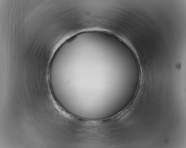 X0000112520813200908171110