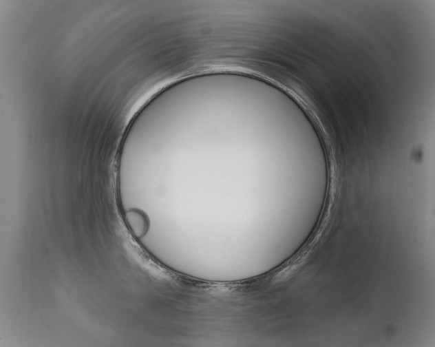 X0000112520814200908171110