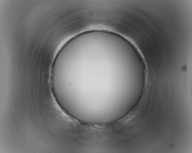 X0000112520815200908171110