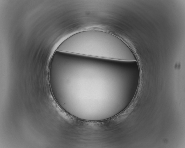 X0000112520816200908171110