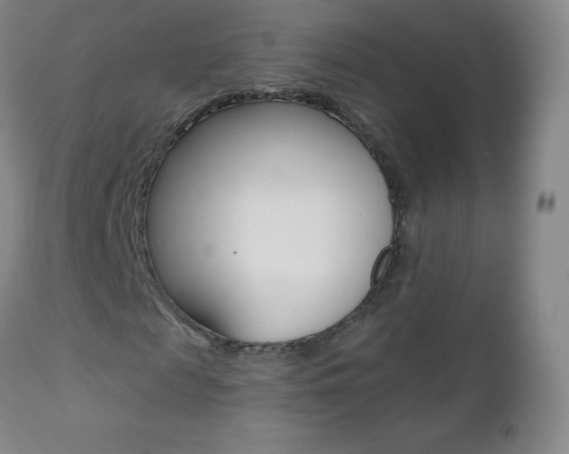 X0000112520817200908171109
