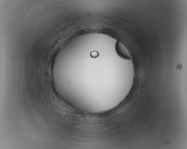 X0000112520818200908171109