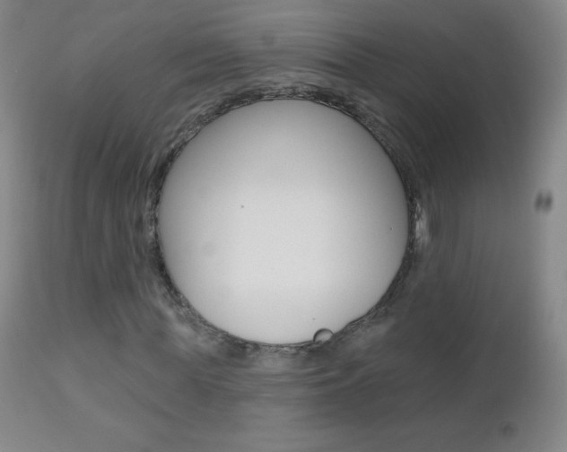 X0000112520819200908171109