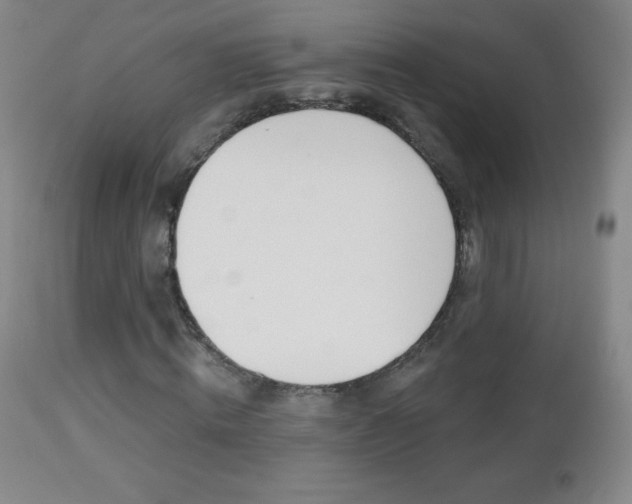 X0000112520820200908171109