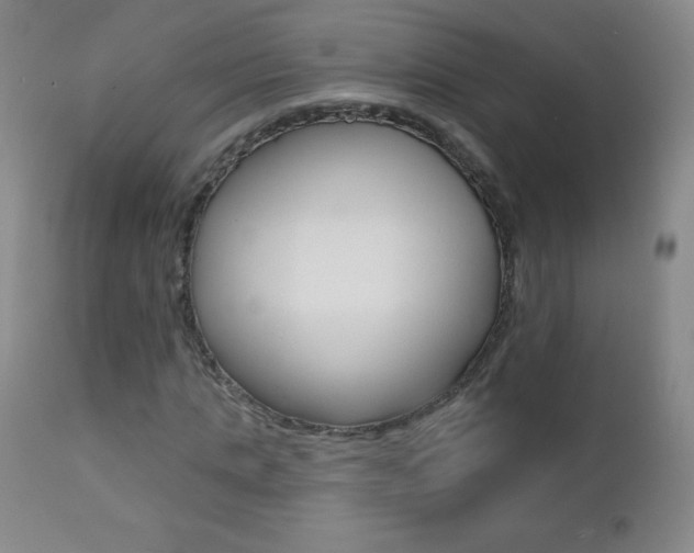 X0000112520821200908171109