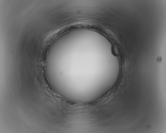 X0000112520822200908171109