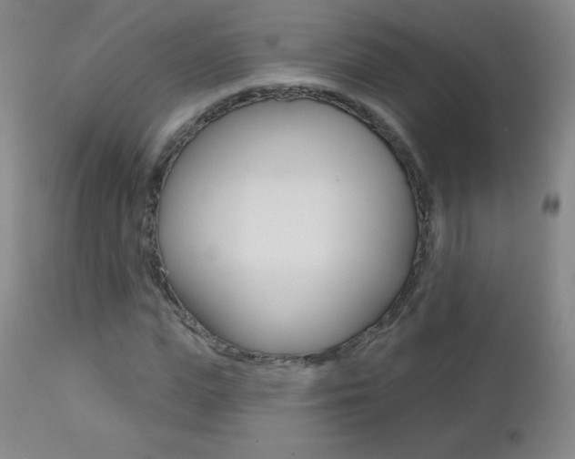 X0000112520823200908171109