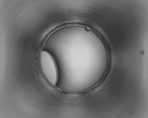 X0000112520826200908171109