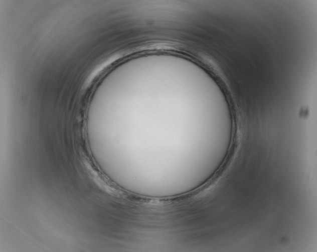 X0000112520827200908171109