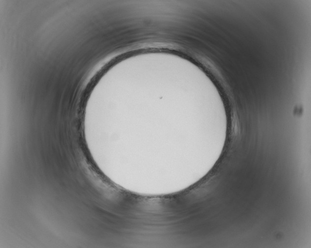 X0000112520828200908171109
