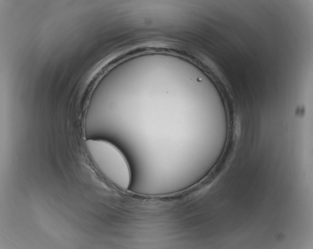 X0000112520829200908171109