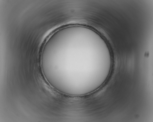 X0000112520830200908171109