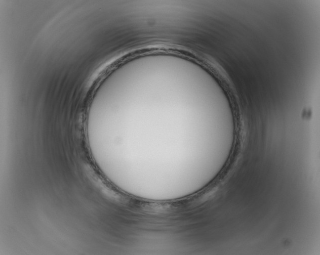 X0000112520831200908171109