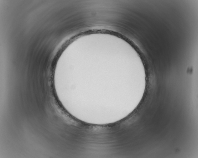 X0000112520832200908171109