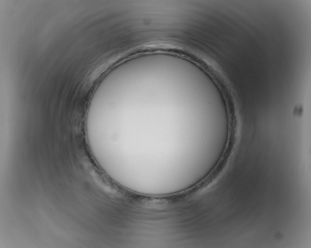 X0000112520833200908171110