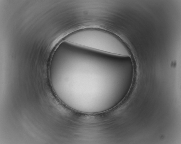X0000112520834200908171110