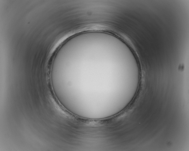 X0000112520835200908171110
