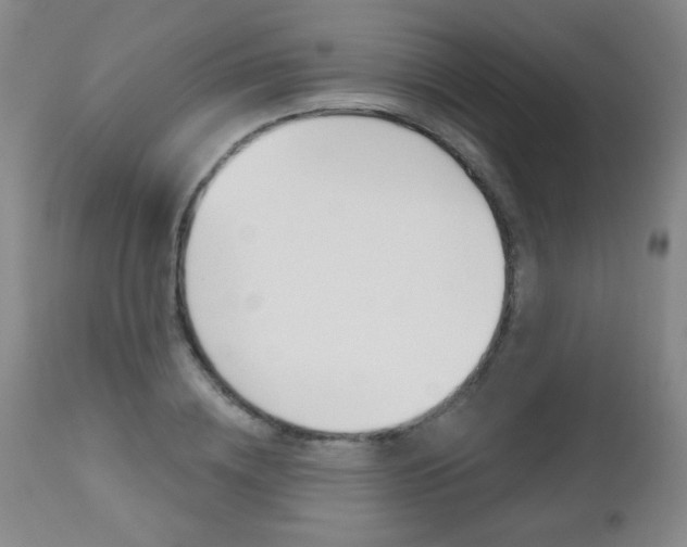 X0000112520836200908171110