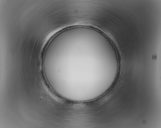 X0000112520838200908171110