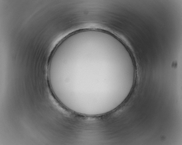 X0000112520839200908171110