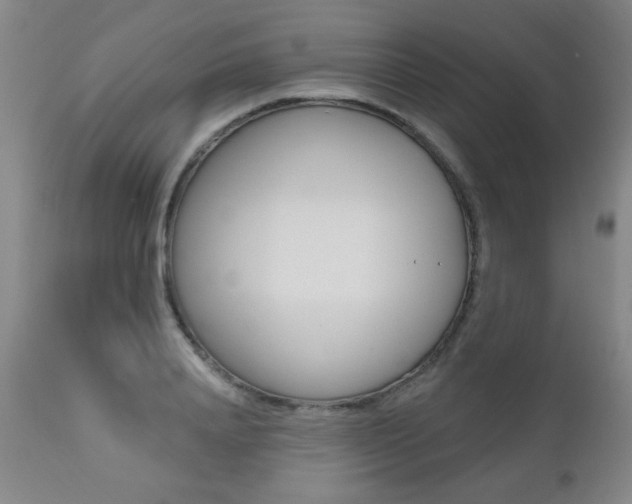 X0000112520840200908171110