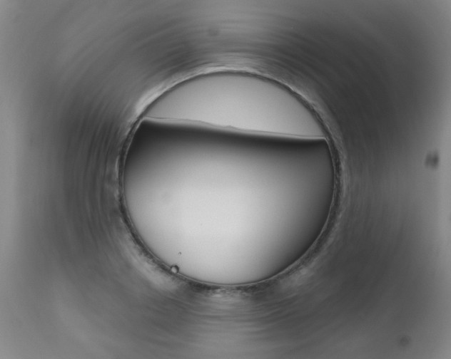 X0000112520842200908171110