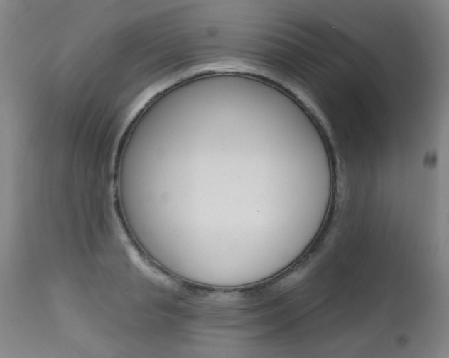 X0000112520845200908171110