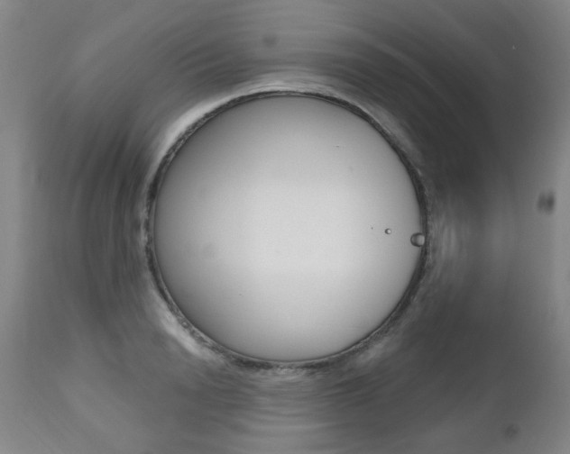 X0000112520846200908171110