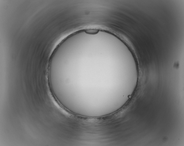 X0000112520847200908171110