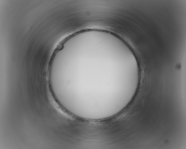X0000112520848200908171110