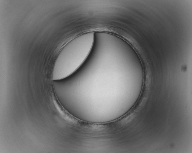 X0000112520849200908171110