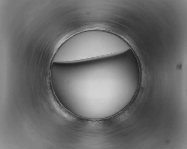 X0000112520850200908171110