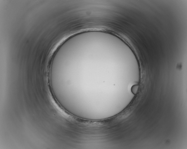 X0000112520851200908171110