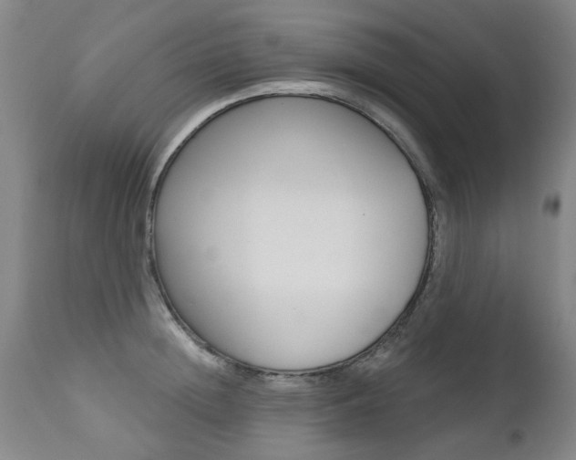 X0000112520852200908171110