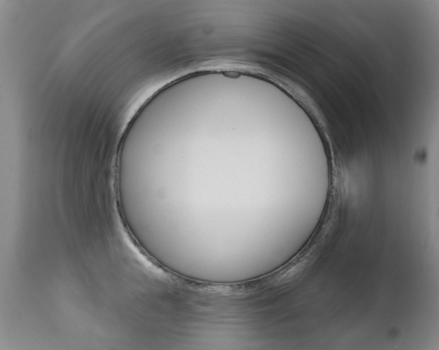 X0000112520855200908171110
