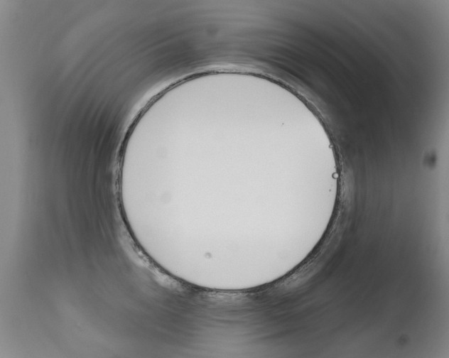 X0000112520856200908171110