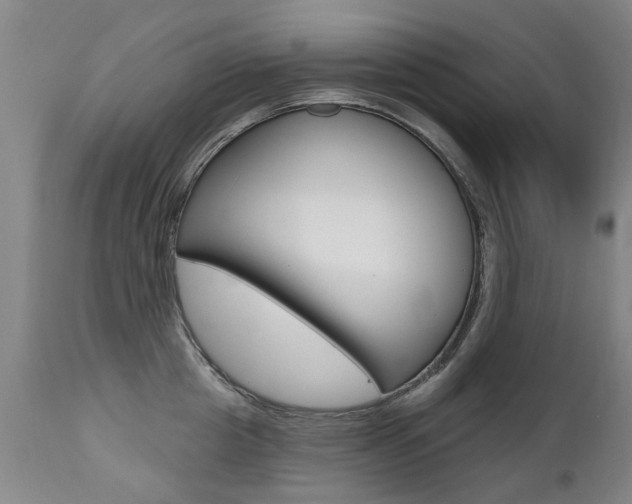 X0000112520857200908171110