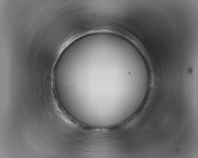 X0000112520858200908171110