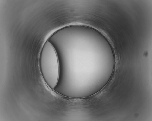 X0000112520862200908171110