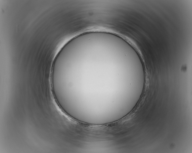 X0000112520863200908171110