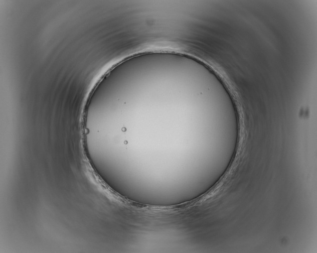 X0000112520864200908171110