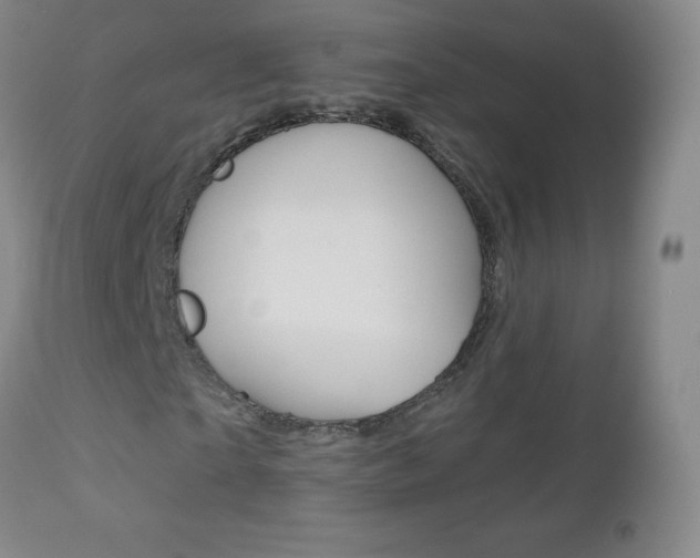 X0000112520865200908171109