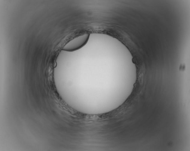 X0000112520866200908171109