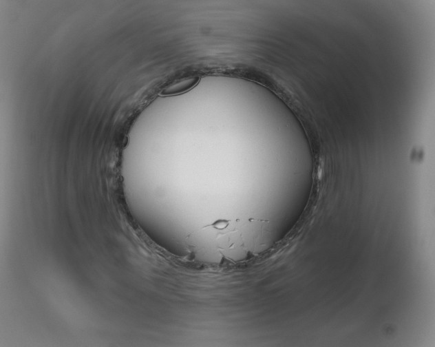 X0000112520867200908171109