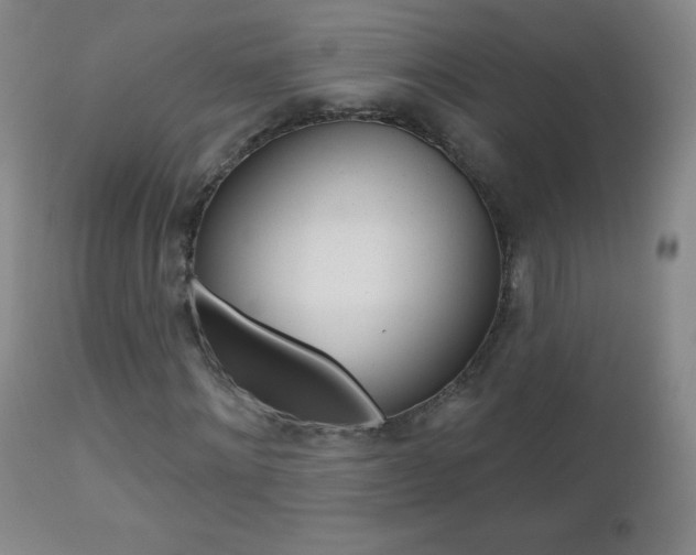 X0000112520868200908171109