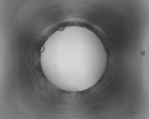 X0000112520869200908171109