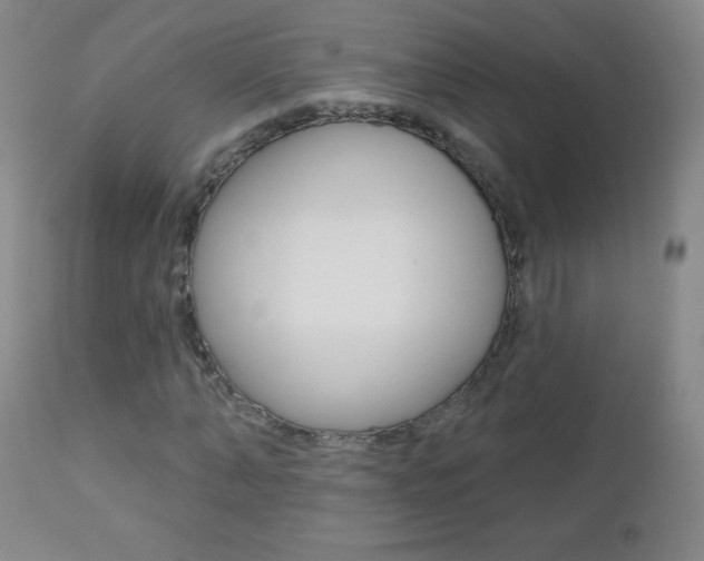 X0000112520870200908171109