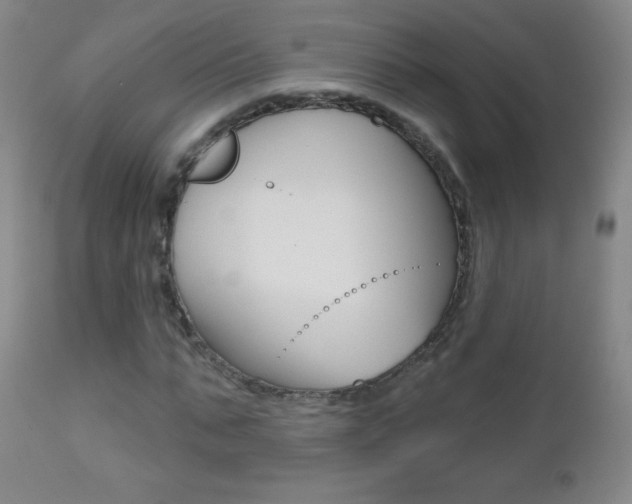 X0000112520871200908171109