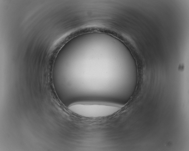 X0000112520872200908171109